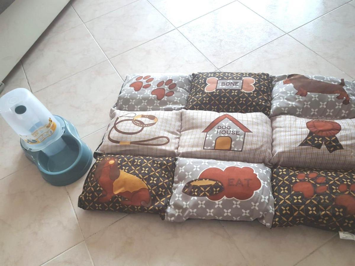 Isotta Guest House Family E Pet Friendly Perugia Exterior photo